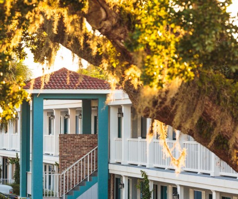 Hotel view in between trees